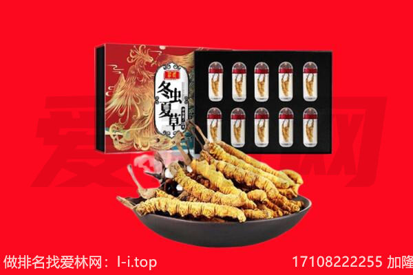辽源市回收虫草.jpg